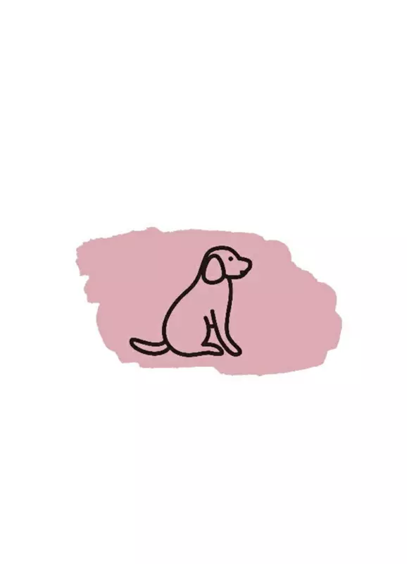 پت شاپ